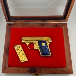 Colt 1908 25acp. Pocket