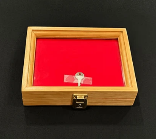 Customized handgun display case