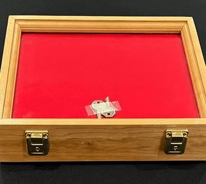A secure gun display case.